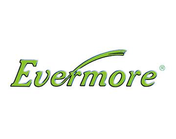 Evermore Machine - logo