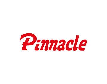 PINNACLE MACHINE TOOL CO., LTD. - logo